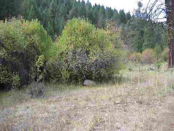 2nd image of L-15 & #16