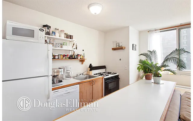 Rented by Douglas Elliman | media 3