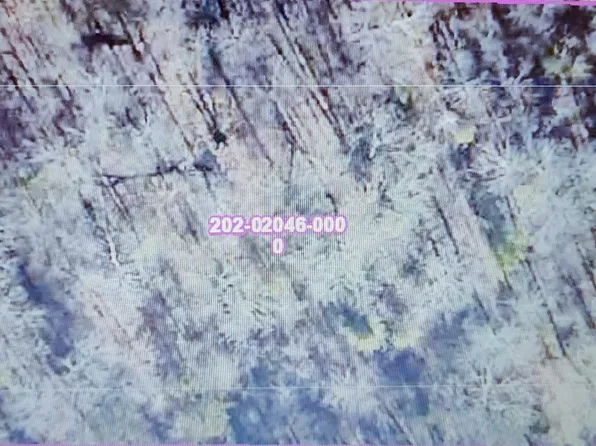 3147 McPherson Ridge Dr, Mabelvale, AR 72103