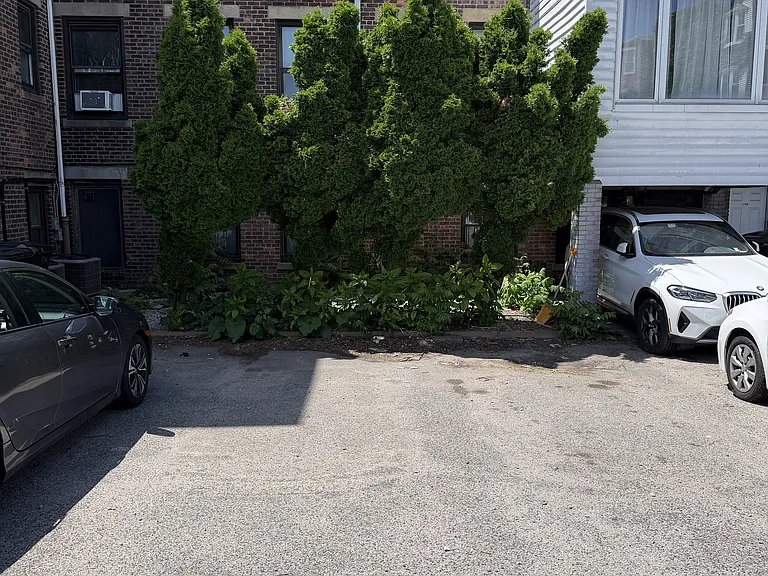 175 Harvard St #12A — Photo 25