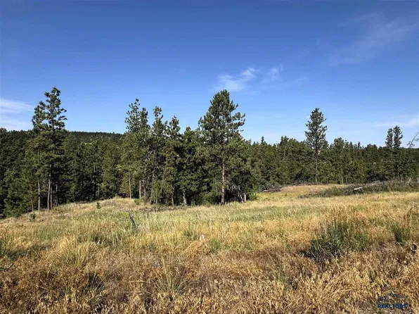 TRACT 12 Black Bear Rd, Hulett, WY 82720