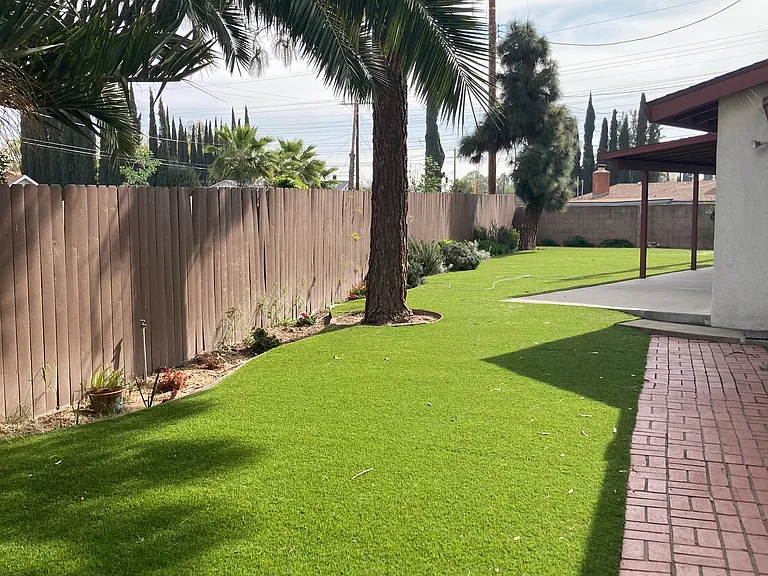 Backyard turf