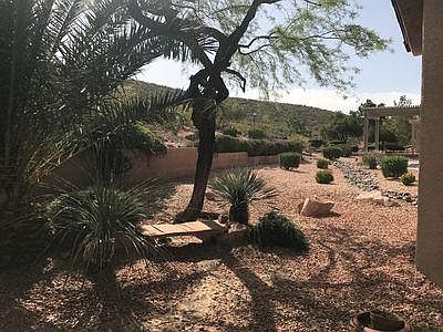 Backyard View