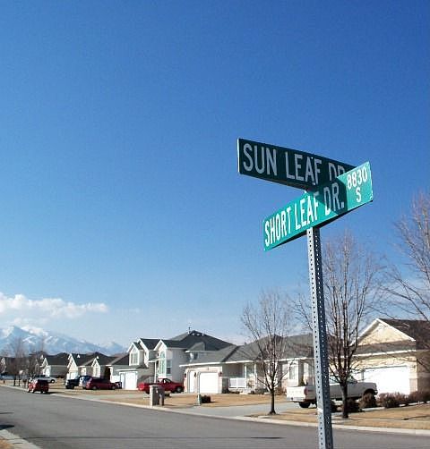 2nd image of 8829 S Sun Leaf Dr