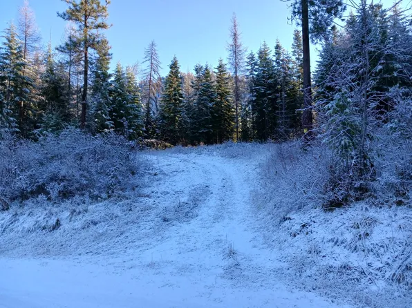 3687 Daisy Mine Rd, Rice, WA 99167