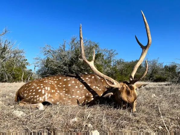 1029 Fairview Rd, Rocksprings, TX 78880