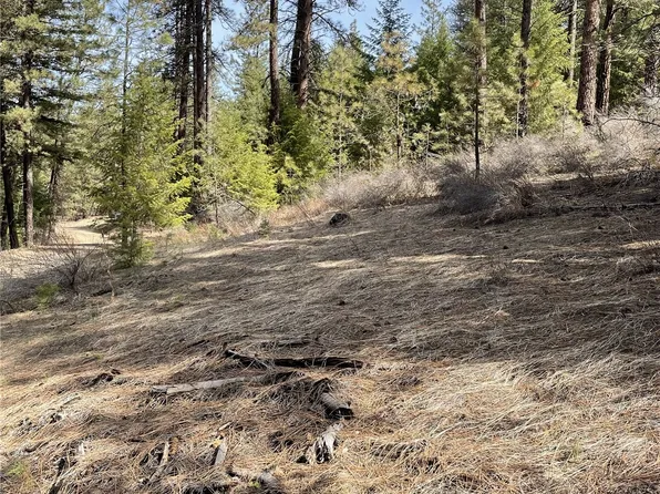 1 Harker Canyon Road, Davenport, WA 99122