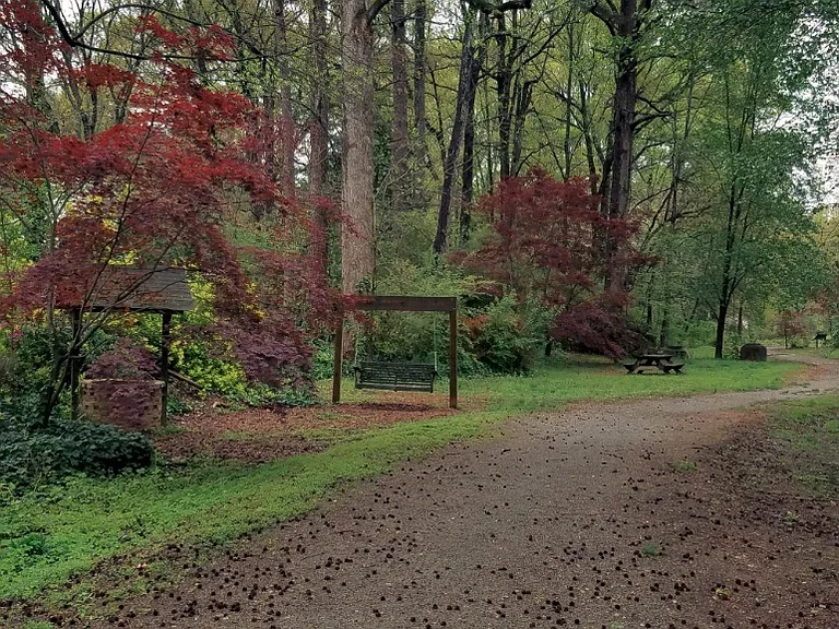Affinitee at Pine Lake — Photo 11