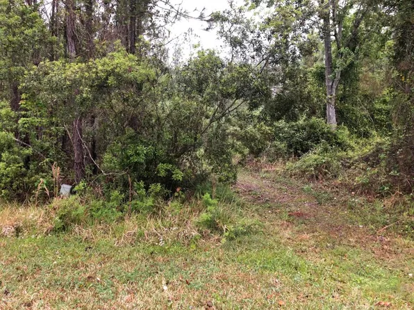 1907 Village Run Pl, Saint Johns, FL 32259