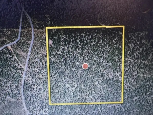 600 Nf #24N15X, Quincy, CA 95971