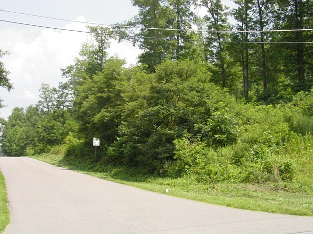 2nd image of Town Road 1 & 2 Steinman Rd