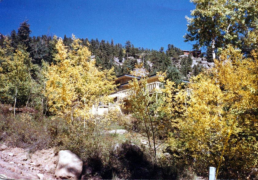 Aspens & Fall Foliage