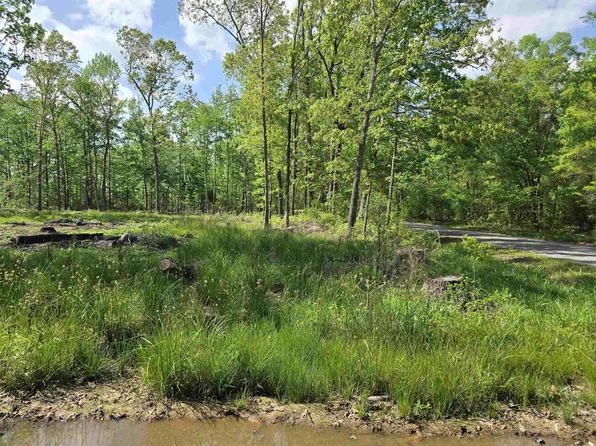 588 Lebanon Rd, Mc Rae, AR 72102