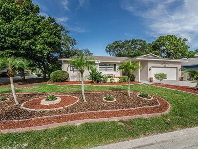 4710 Innisfil St, Palm Harbor, FL, 34683