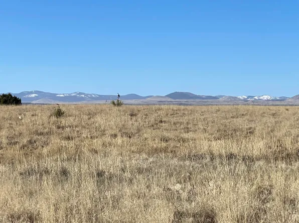 49 County Road 6032, Saint Johns, AZ 85936