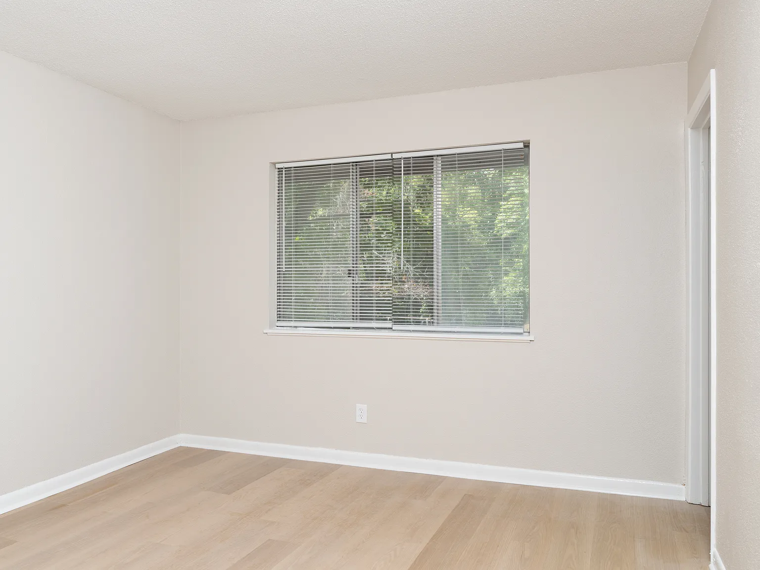 2 bed, 1.5 bath, 1000 sqft, $895 — Photo 4