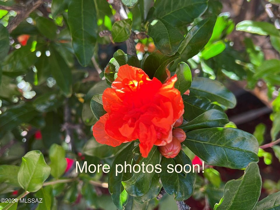 2nd image of 8855 N Moonfire Dr