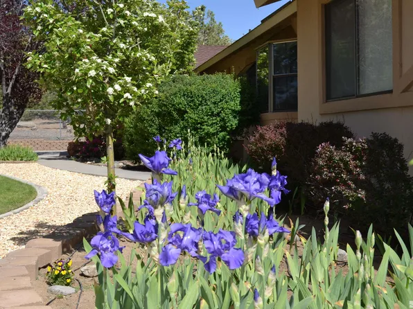 241 Heidi Cir, Carson City, NV 89701
