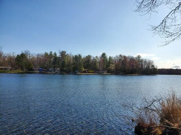 0 Red Oak Trl, Prescott, MI 48756