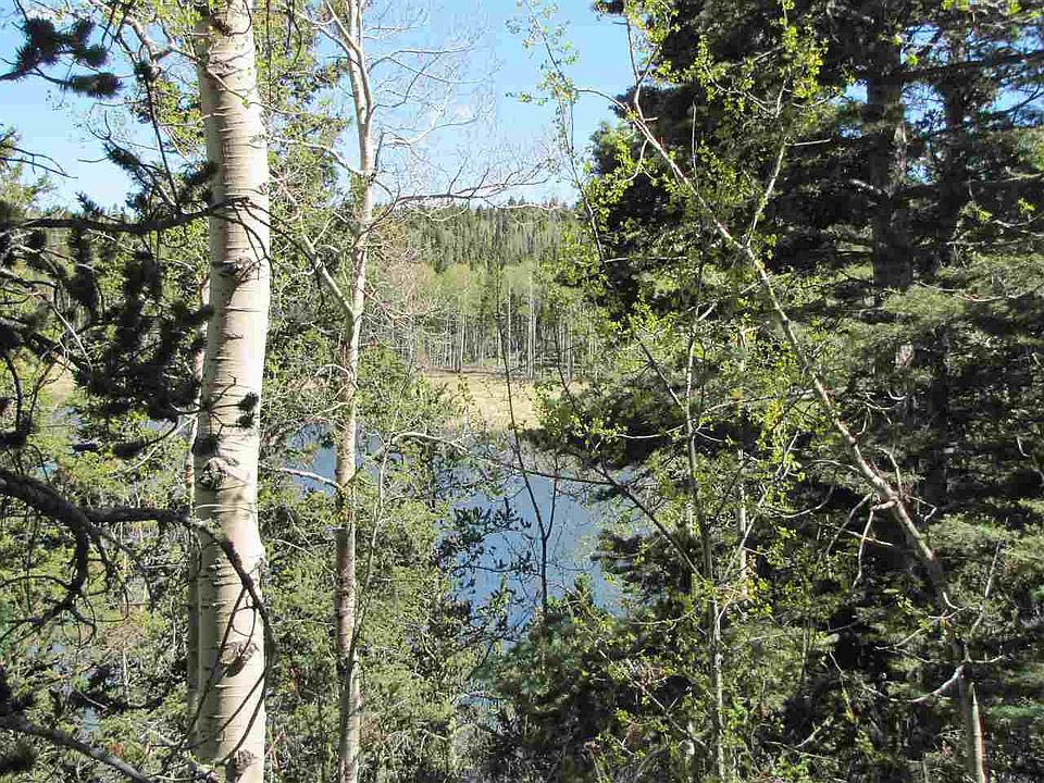 1st image of 60 Hidden Lake Cir #B