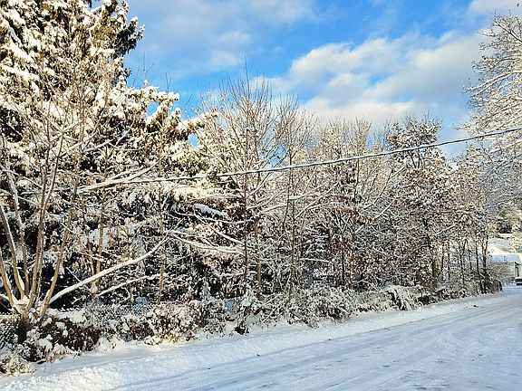 Alturas Street to
Corner 