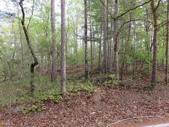 5th image of 7702 Dogwood Trl #34