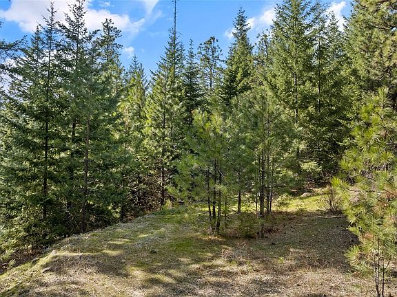 4th image of R R Heights Dr #B