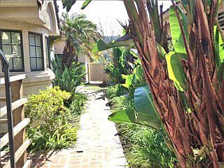 5th image of 29028 Laurel Valley Dr