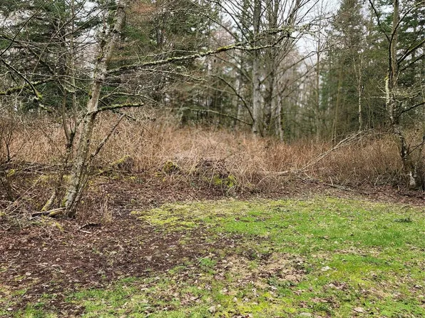 0 Valley View Lot 2 Road, Ferndale, WA 98248