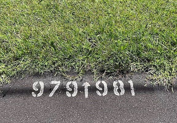 4th image of Maikoiko St Lot 981