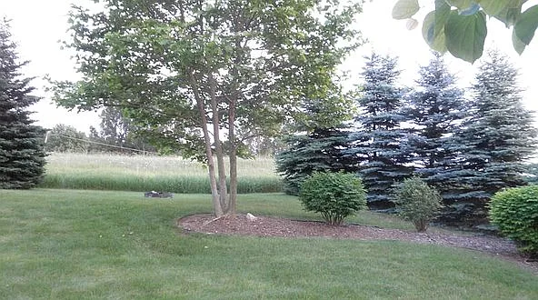 2670 Green Meadows Dr — Photo 11
