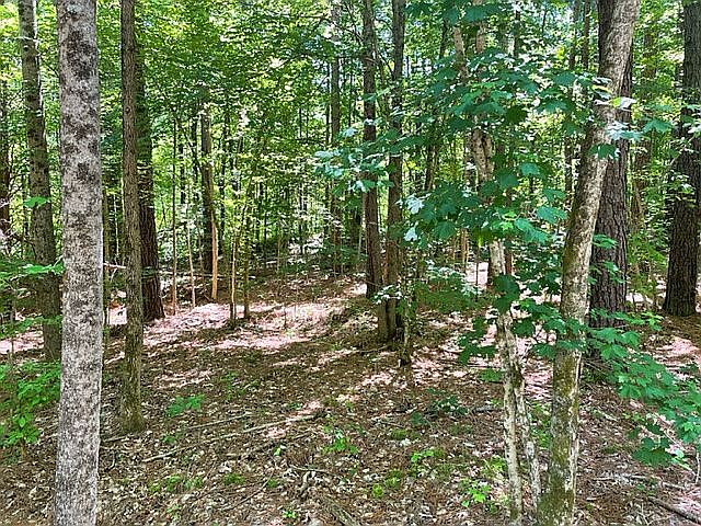 1st image of 362 Farm Estates Dr Lot 8