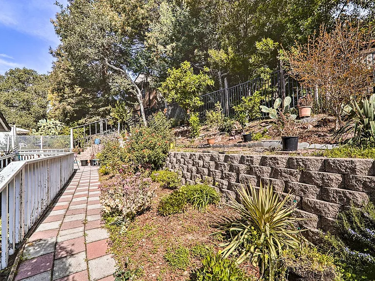 Terrace View
