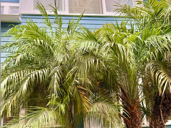 224 Horizon Ave APT 4, Venice, CA 90291