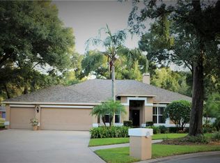 4710 Stone Hollow Ct, Valrico, FL 33596