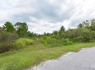 Backland Path Rd, Polk city, FL 33868
