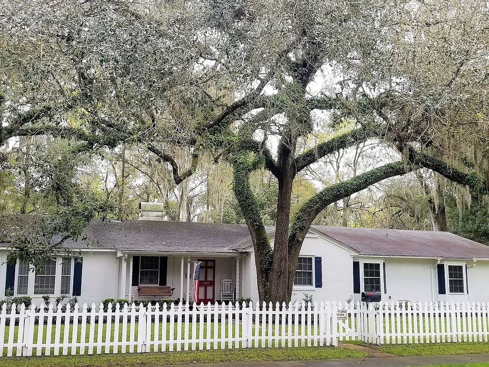 Majestic Live Oaks