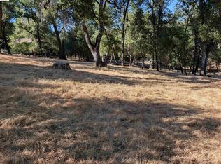 19055 Crocker Station Ln, Groveland, CA 95321