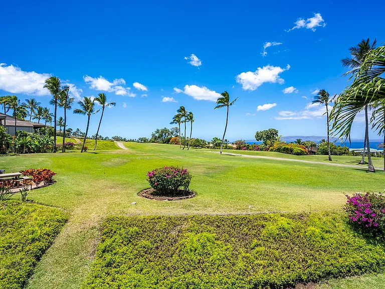 Wailea Ekolu Pl — Photo 42