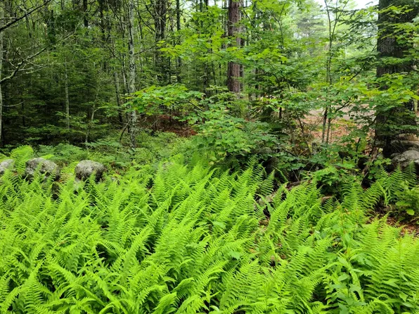 00 Coggins Road, Bristol, ME 04564