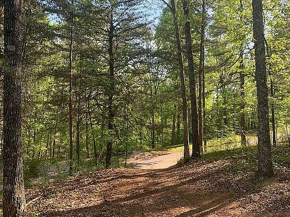 Established Driveway 