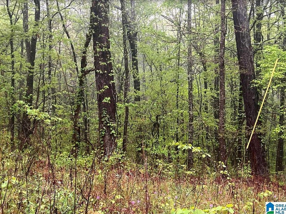 2nd image of 6173 Embry Bend Rd #0
