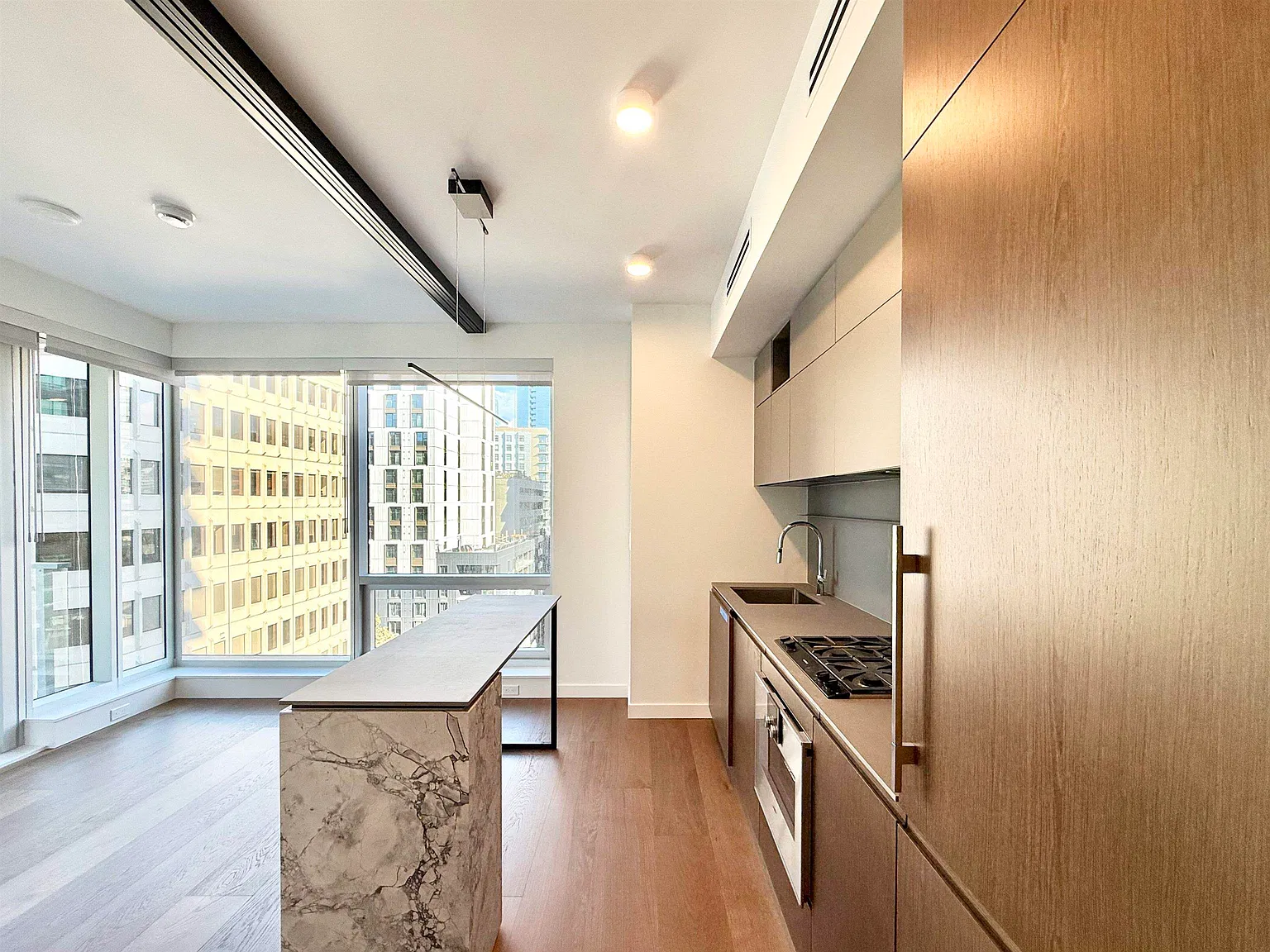 1 bed, 490 sqft, $3,000 — Photo 3