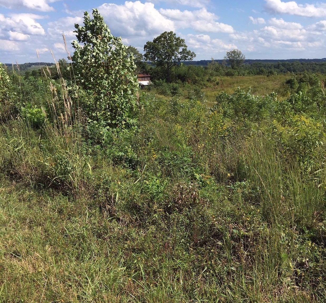 Cooksburg Rd, Chatham, VA 24531 Zillow