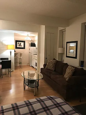 Rented by BLU Real Estate | media 2