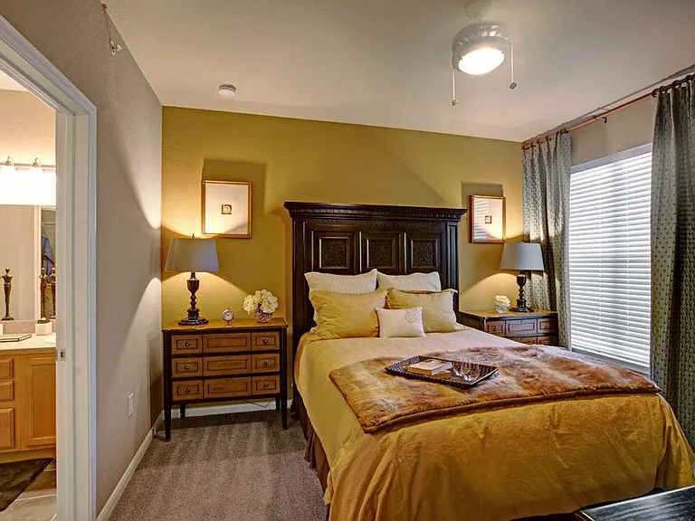 The Palms at Briarwood — Photo 10