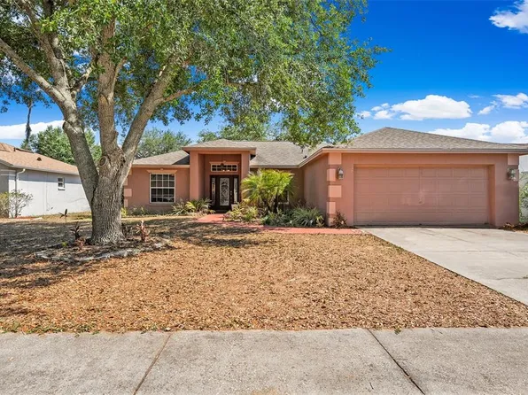 127 Winston Manor Cir, Seffner, FL 33584