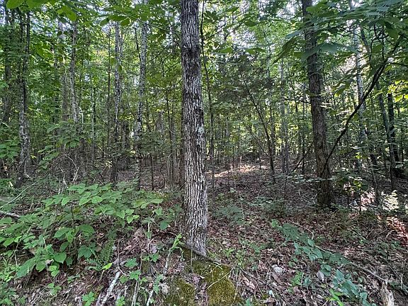 5th image of 475 Summer House Mountain Rd