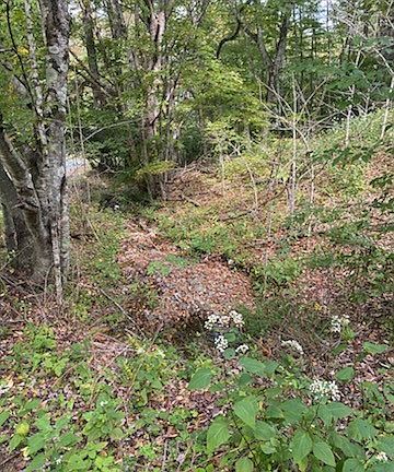 4th image of 1 Creek Crossing Road Road
