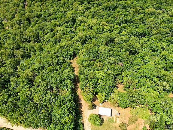 2nd image of Dogwood Ln